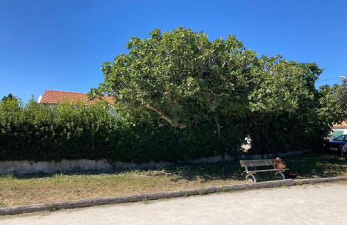 La Tranquille - Maison pour 3 familles - Foto 20