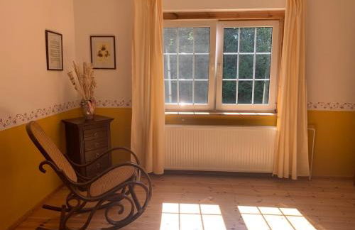 Villa Wieck am See, mit Ruderboot - Foto 36