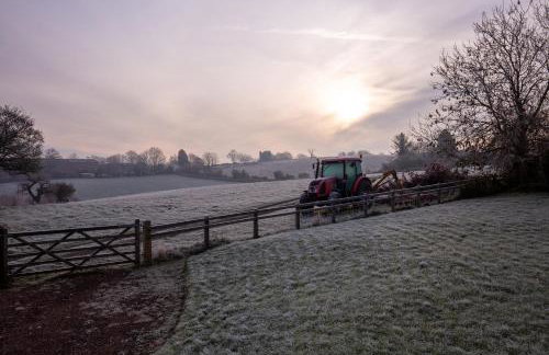 Nature's Lodge - Foto 30