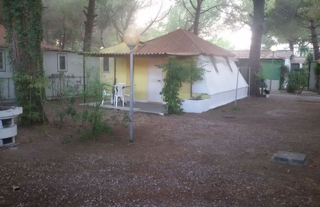 Parco delle Viole - Foto 26