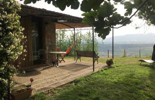 Podere Porcino - Foto 59