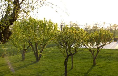 Agriturismo Feliciana - Foto 66