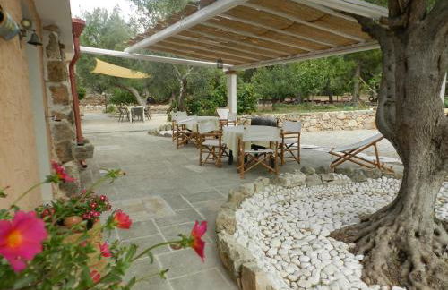 Macchia Salentina - Foto 54