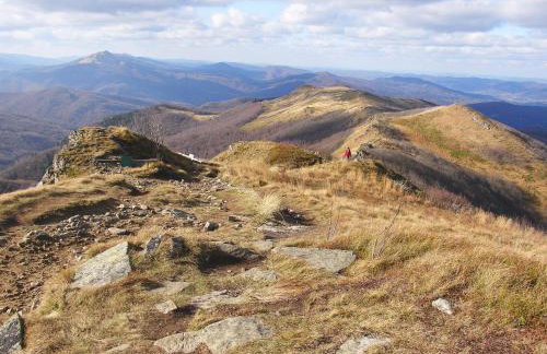 Domek Skowronek z basenem - Foto 30