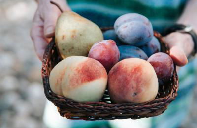 Cascina Bringin - Photo 17