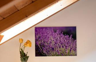 Die Villa bei Meran - Foto 13