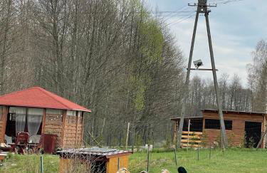 Agro na Wapniarni - Foto 26