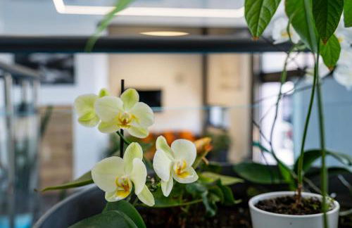 Zen et Chic - Foto 39