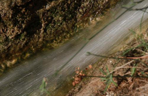 Alojamientos Rurales Cortijo Las Golondrinas - Foto 52