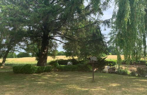 Ferienhaus Alte Mühle - Foto 27