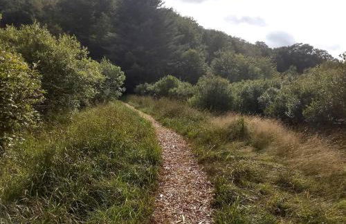 Beautiful Yurt with Breathtaking Views in Livingston Manor, New York - Foto 7