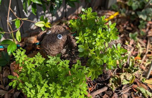 4bedrooms house sleeps14 Garden&Parking Ably Stays - Foto 48