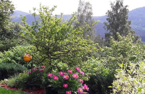 Harlachberg Blick 1 - Foto 9