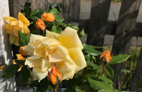 Maison plain-pied à Chartres, vue cathédrale, accessible PMR - FR-1-581-97 - Foto 16