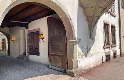 Le Baumann Concept: Appartement de Charme dans un Monument Historique - Foto 7