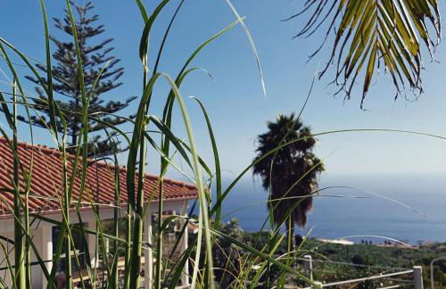 Calheta Boutique Houses - Photo 20