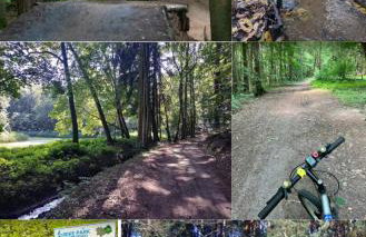 Luksusowy Apartament Pod Lasem Szczecin-Pilchowo EV Stacja ładowania - Foto 13