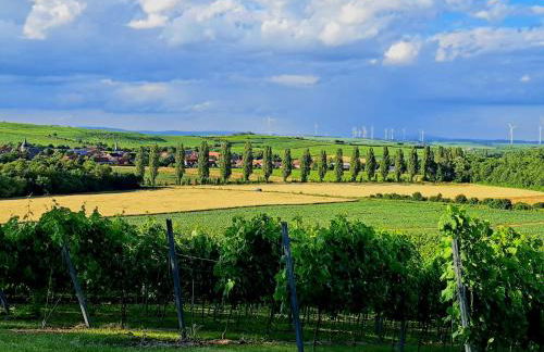 Rheinhessen-Loft - Foto 31