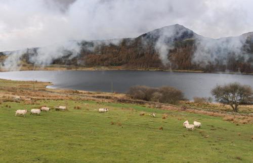 Llys Elen - Photo 49