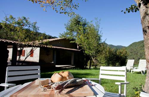 Mas Pinoses - Foto 27