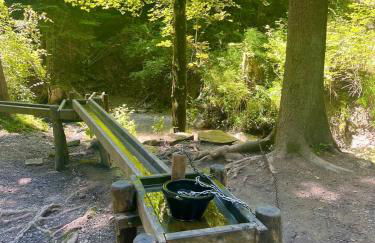 FeWo Alpenherz im Allgäu, mit Balkon und Bergblick - Foto 26