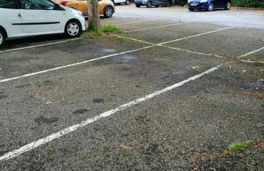 Appartement Au Cigogneau Wifi-Netflix-Balcon-Parking - Foto 16