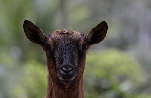 Tenuta Luogo Marchese - Foto 12
