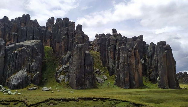 Huayllay National Sanctuary Day Trip - Foto 2