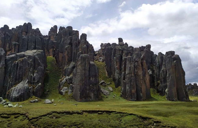 Escursione al Santuario Nazionale di Huayllay - Foto 7