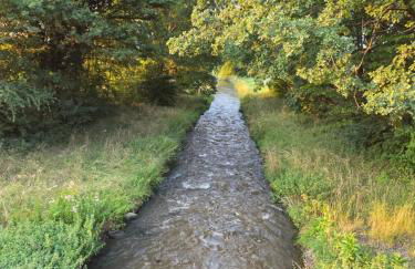 2- Zimmer-Wohnung, Nähe Phantasialand, Palmenparadies, Köln, Bonn - Foto 13