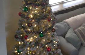 Colorado Cottage W/Mountain View - Foto 32