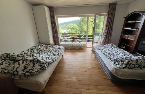 Beautiful apartment & pool Black Forest Häusern 5 people - Foto 10