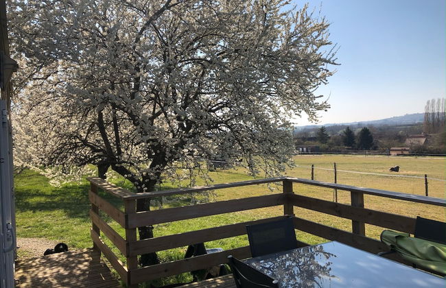 Les Lodges - Foto 20