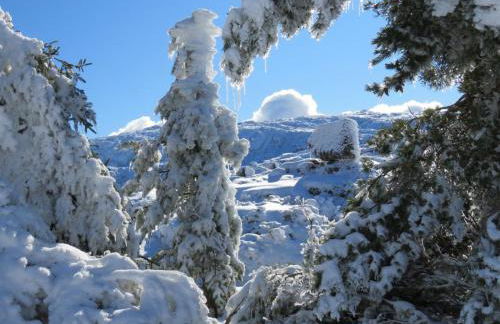 Casa Manuel II Sabugueiro - Foto 49