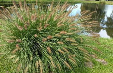 Domek nad stawem - Foto 16