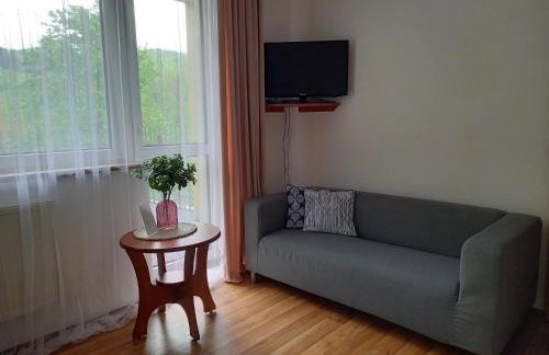 Apartamenty AGAT - Foto 17