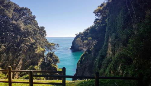 El Jardín de Casa Male - Foto 3