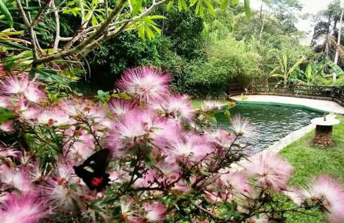 Sítio Caldeirão - Chalé Azul - Foto 27