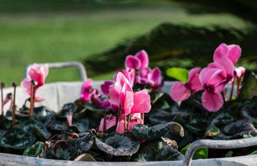 LA MASSARÌA agriresort - Foto 28