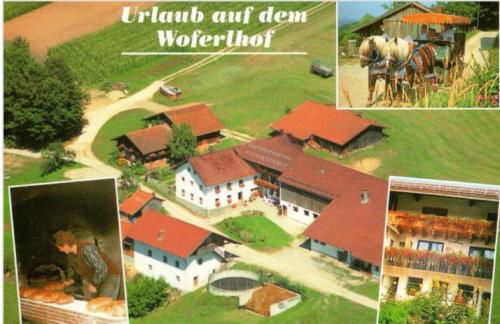 Woferlhof, Ferienhof Boxhorn - Foto 30