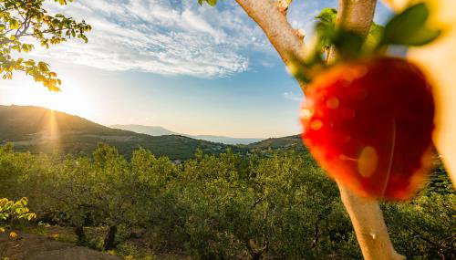 Rikanthos Stone Sea View Apartment ΙΙ - Foto 2