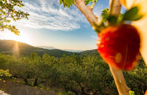 Rikanthos Stone Sea View Apartment ΙΙ - Foto 2