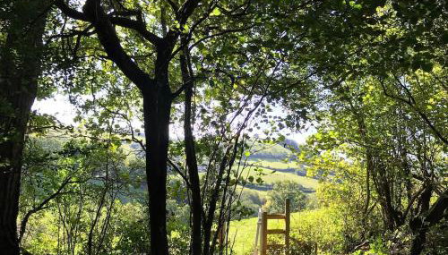 Characterful, Cosy Dartmoor Cottage - Foto 3