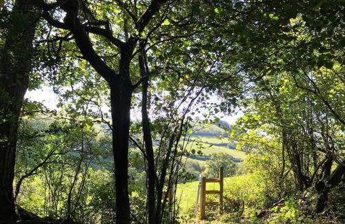 Characterful, Cosy Dartmoor Cottage - Foto 3