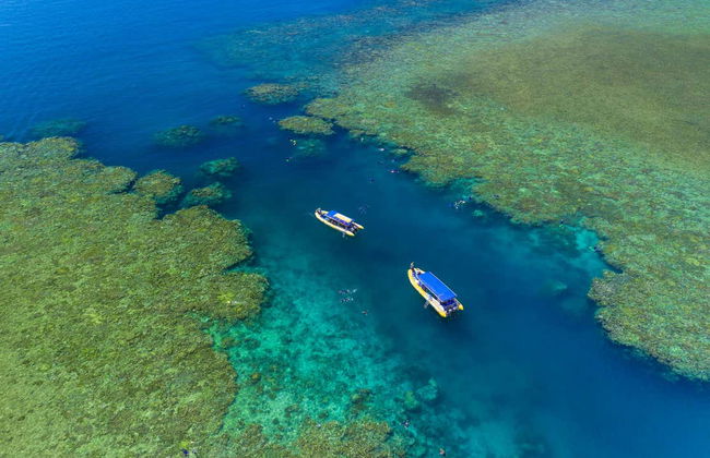 Excursión a la isla Whitsunday y Hook Island con snorkel - Foto 7