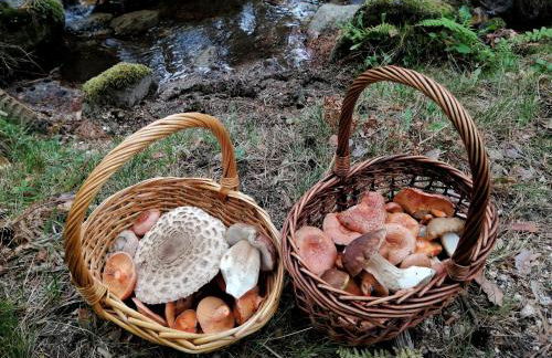 Casa Siete Picos - Foto 22