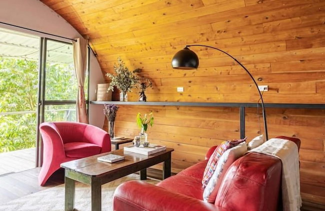 Finca El Tambor - Foto 59