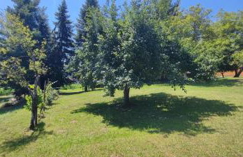 Pri Fiškušu - Foto 50