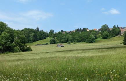 Waldhorn Dobel - Foto 69