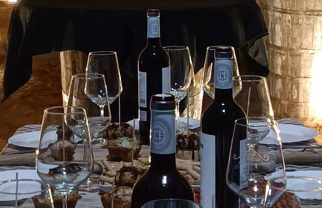 Visite des caves à vin Dorretxe + Dégustation d'huile d'olive - Photo 6